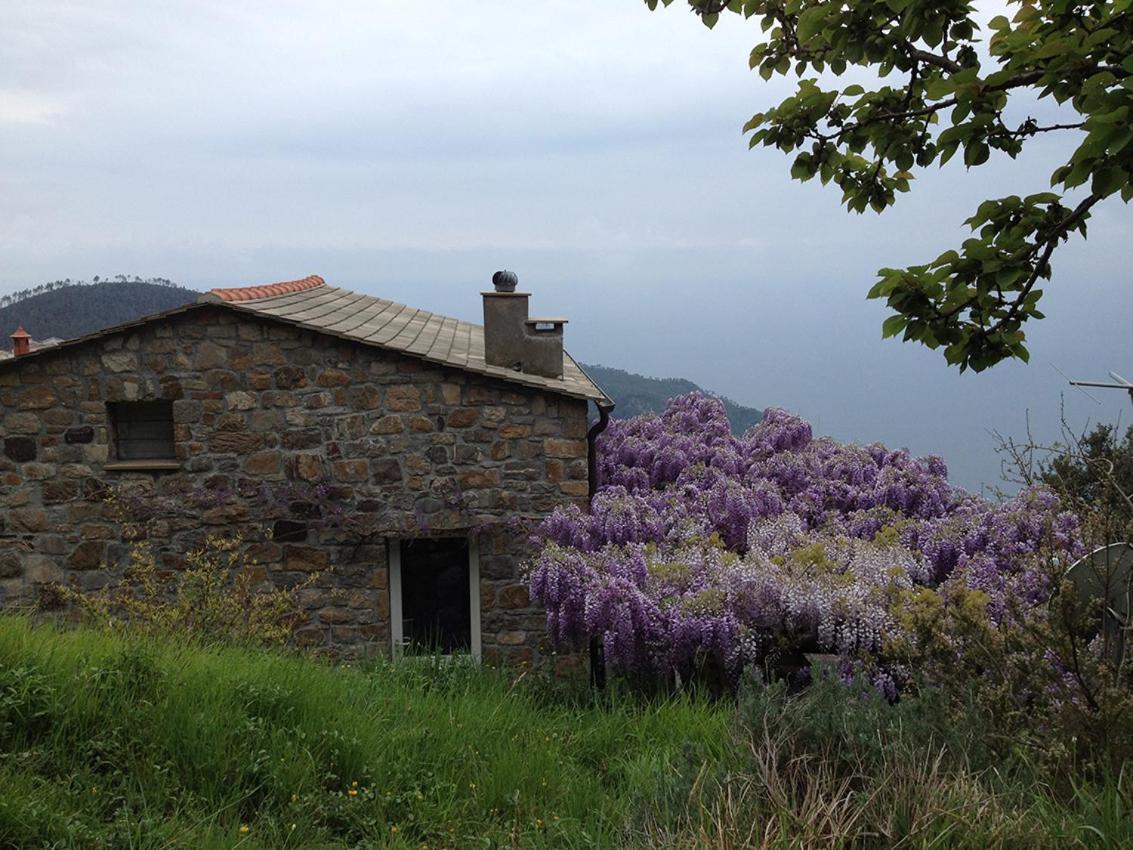 Cottage La Torre Del Pittore Bonassola Luaran gambar