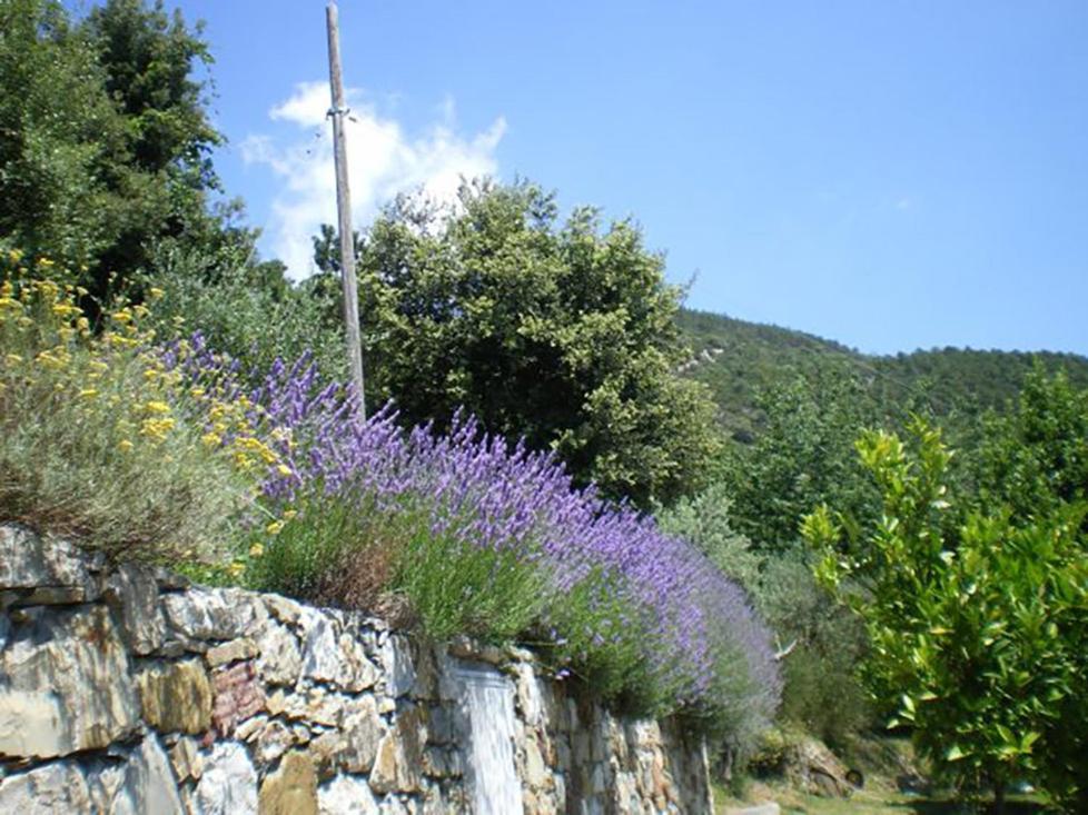 Cottage La Torre Del Pittore Bonassola Luaran gambar