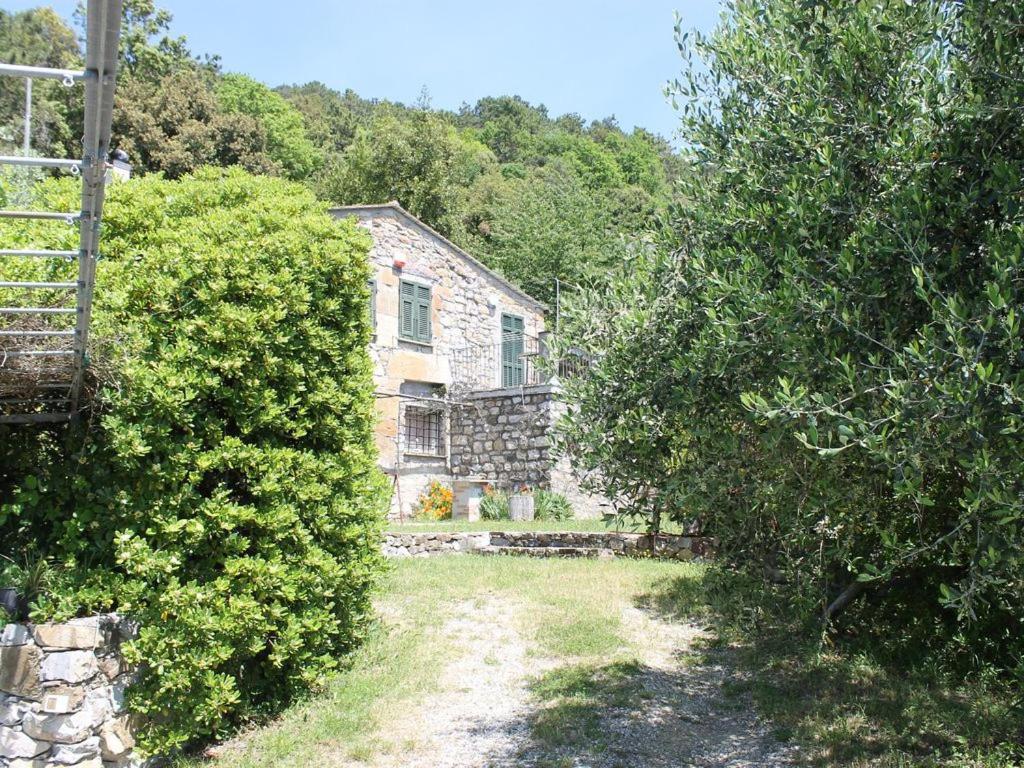 Cottage La Torre Del Pittore Bonassola Luaran gambar