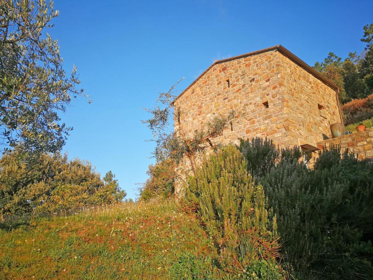 Cottage La Torre Del Pittore Bonassola Luaran gambar